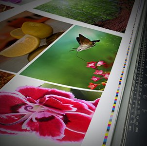 Printers of all kinds need graphic design files to serve their customers