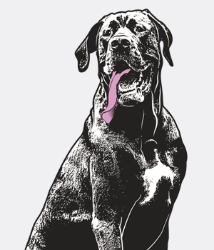 Vector Artwork design with black dog preview