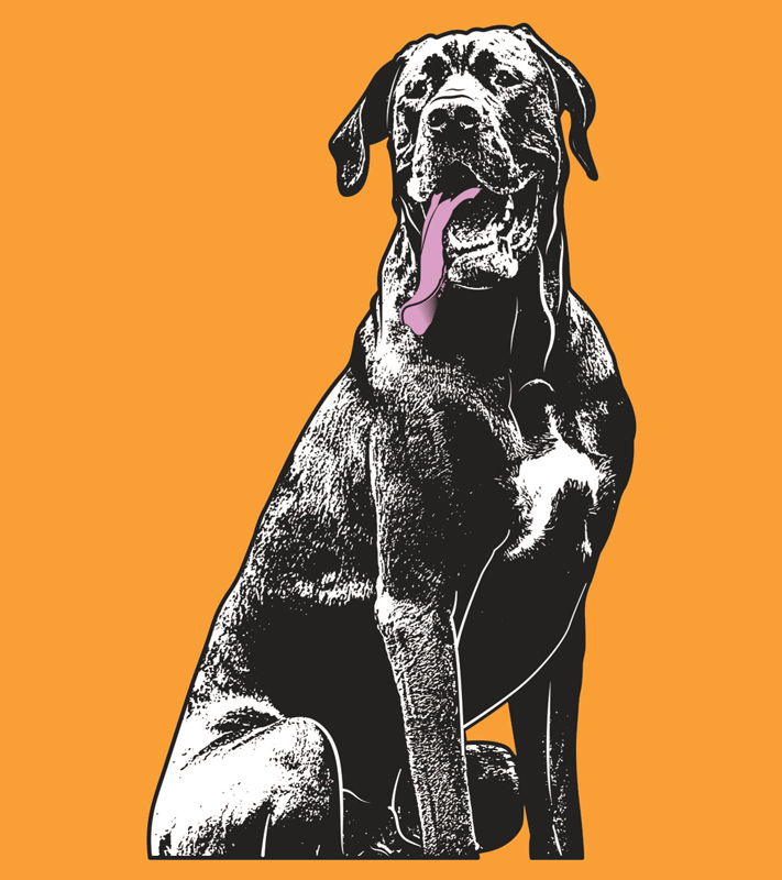 Vector Artwork design with black dog full size